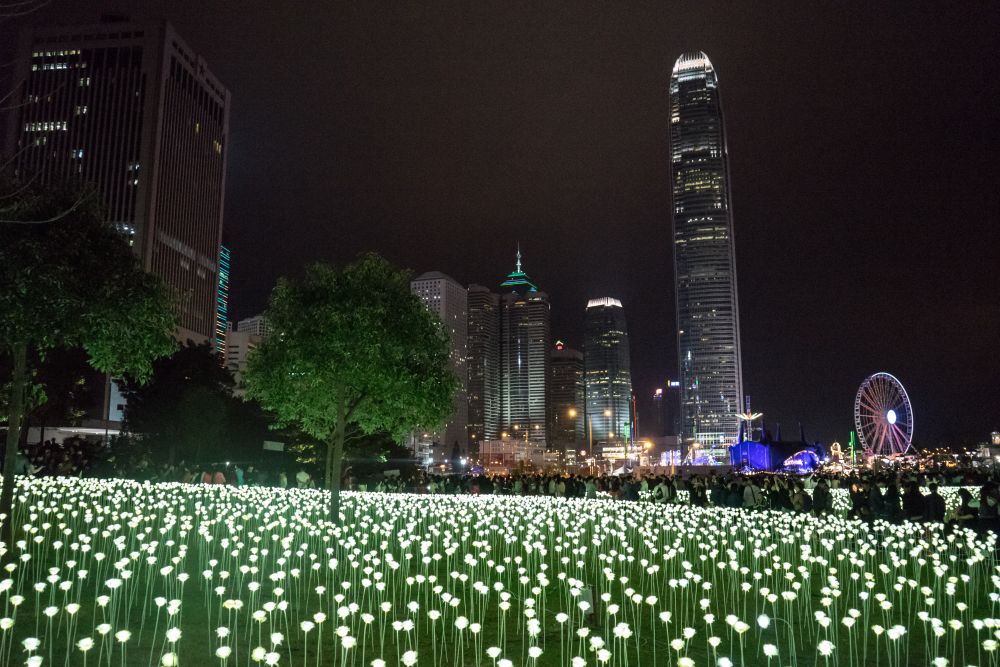Hong Kong Stunning LED Flower installation